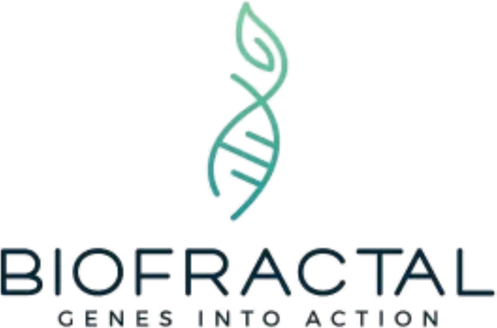 Biofractal
